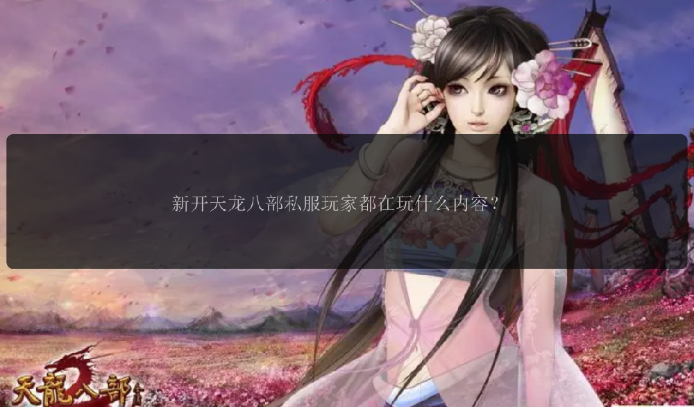 新开天龙八部私服玩家都在玩什么内容?