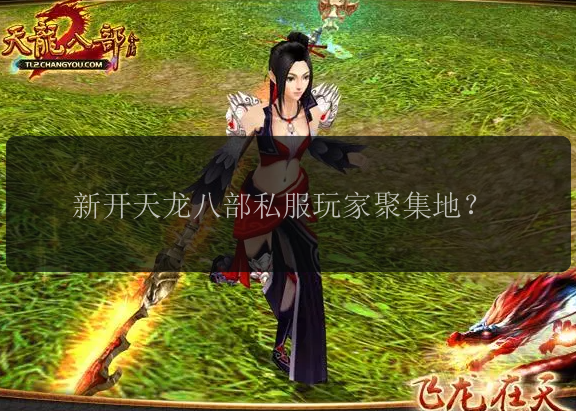新开天龙八部私服玩家聚集地?