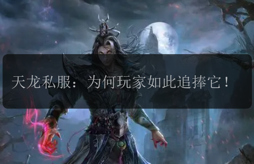 天龙私服:为何玩家如此追捧它!